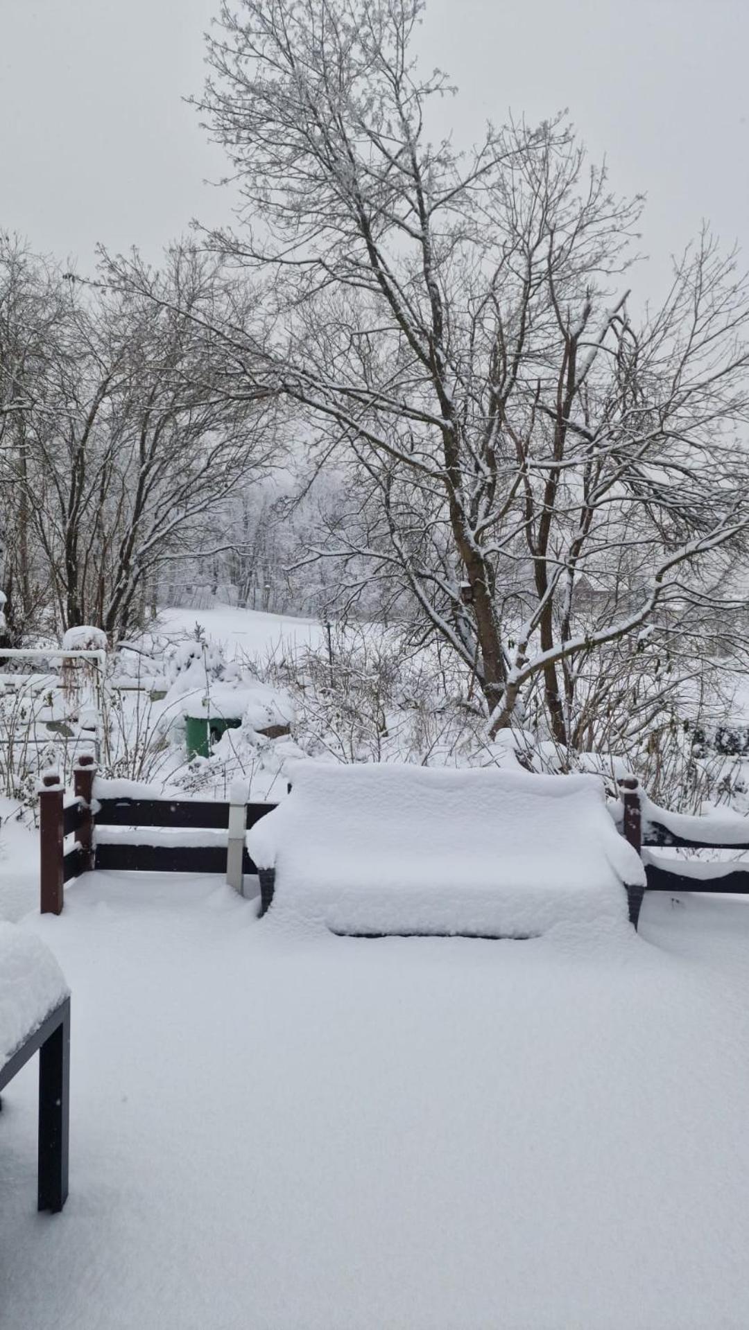 Mikes Fewo Braunlage Exterior foto